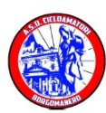 logo borgomanero